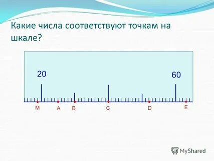 Точки а 14 8 1