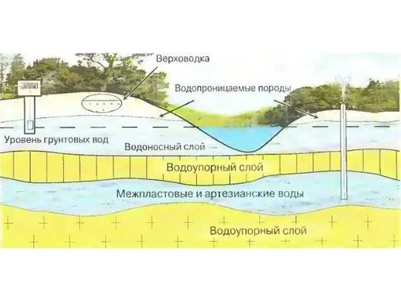 Верховодка это. Водоносный Горизонт верховодка. Подземные воды верховодка. Верховодка и грунтовые воды. Уровень грунтовых вод верховодка.