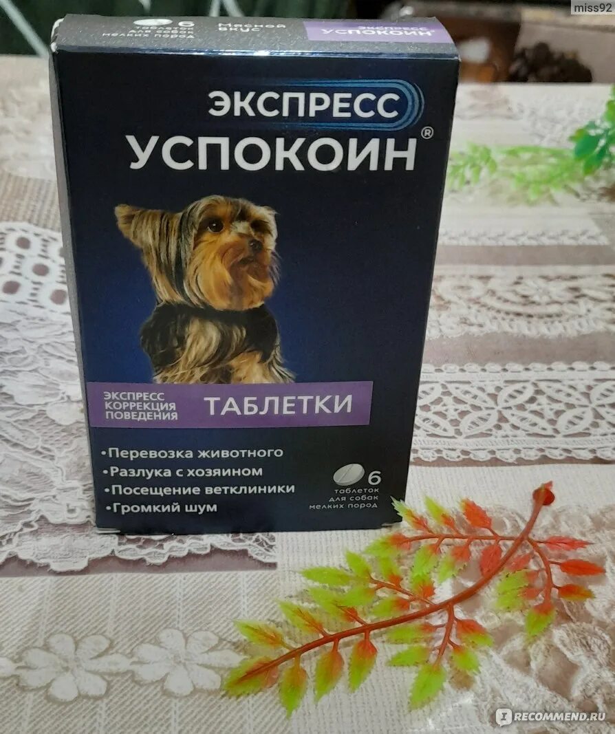 Успокоин экспресс собак астрафарм. Экспресс успокоин для собак таблетки. Экспресс успокоин для собак отзывы. Экспресс успокоин для собак отзывы. Экспресс успокоин для собак таблетки.