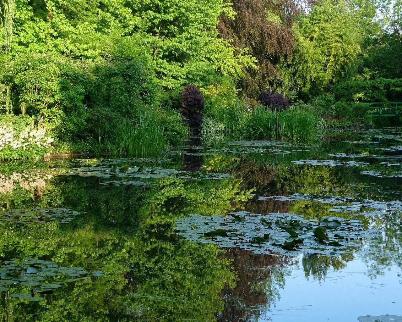 Веранда у пруда. Японская усадьба с прудиком. Японская усадьба с прудиком. Беседка у пруда. Пруды 48.