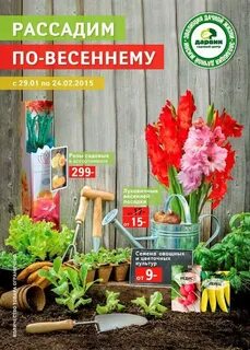 Сайт дарвин солнечногорск