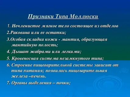 Какой тип питания характерен для устриц