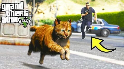 Коте гта