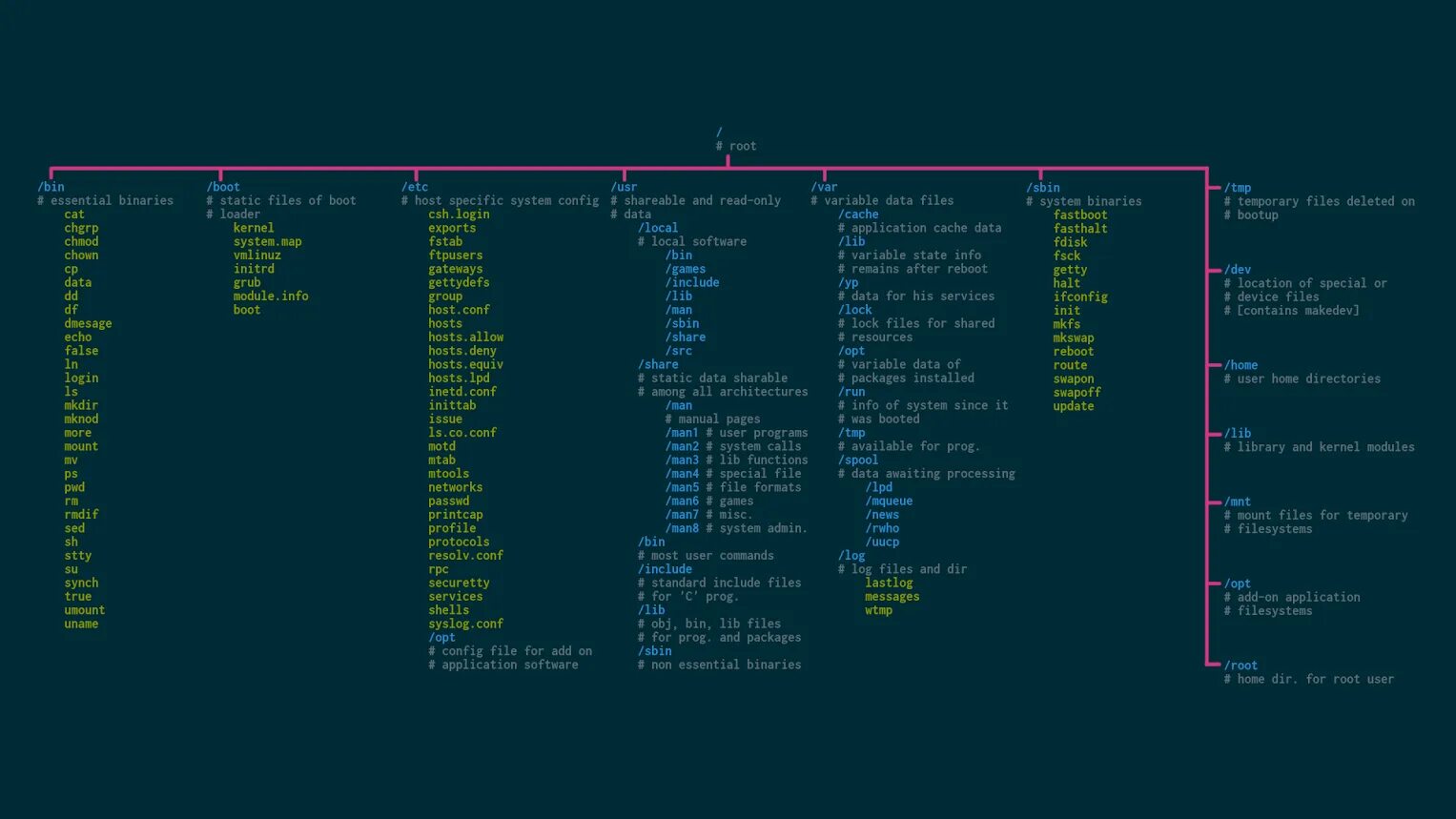 Корневая система linux. Структура папок ос linux. команды linux. код операционной системы линукс. linux шпаргалка по командам.