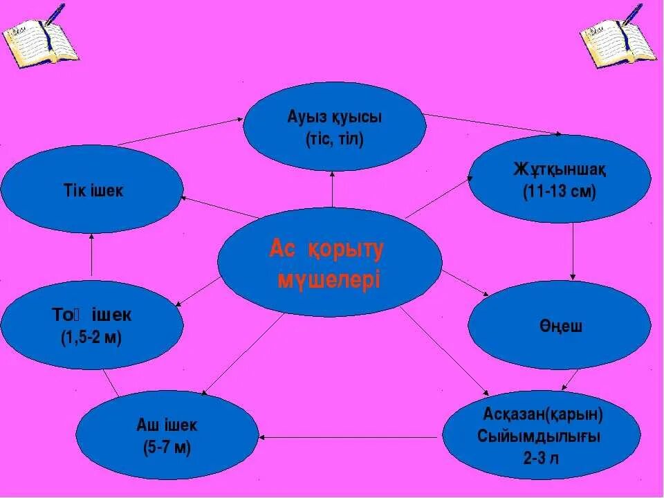 8 б сынып