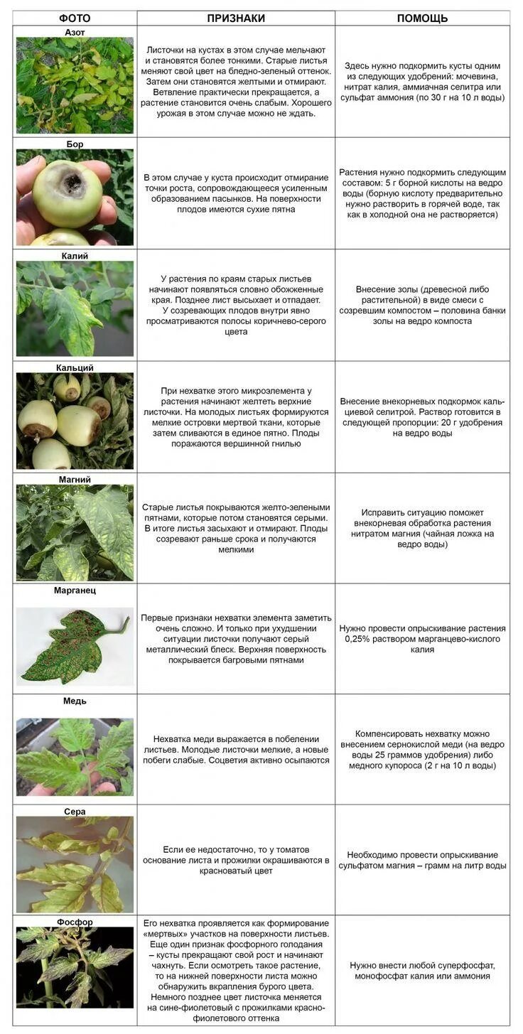 Недостает микроэлементов. Недостаток микроэлементов у человека. Заболевания при недостатке микроэлементов. Дефицит макро и микроэлементов в растениях. Таблица дефицита питательных элементов для растений.