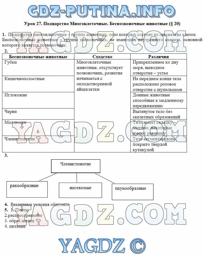 Беспозвоночные животные 5 класс биология таблица. Беспозвоночные животные 5 класс биология таблица особенности. Таблица беспозвоночных животных 5 класс. Особенности строения беспозвоночных животных. Класс беспозвоночные таблица