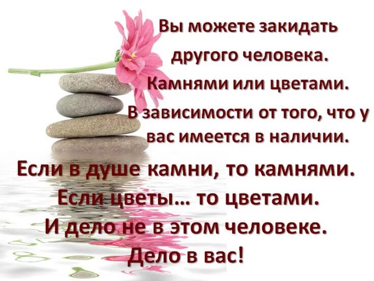 У душе что может быть. Афоризмы про камни. вы можете закидать человека камнями или цветами. цитаты про камень. вы можете закидать другого человека камнями.