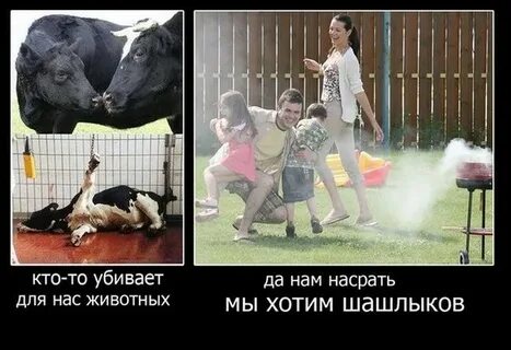Почему люди убивают