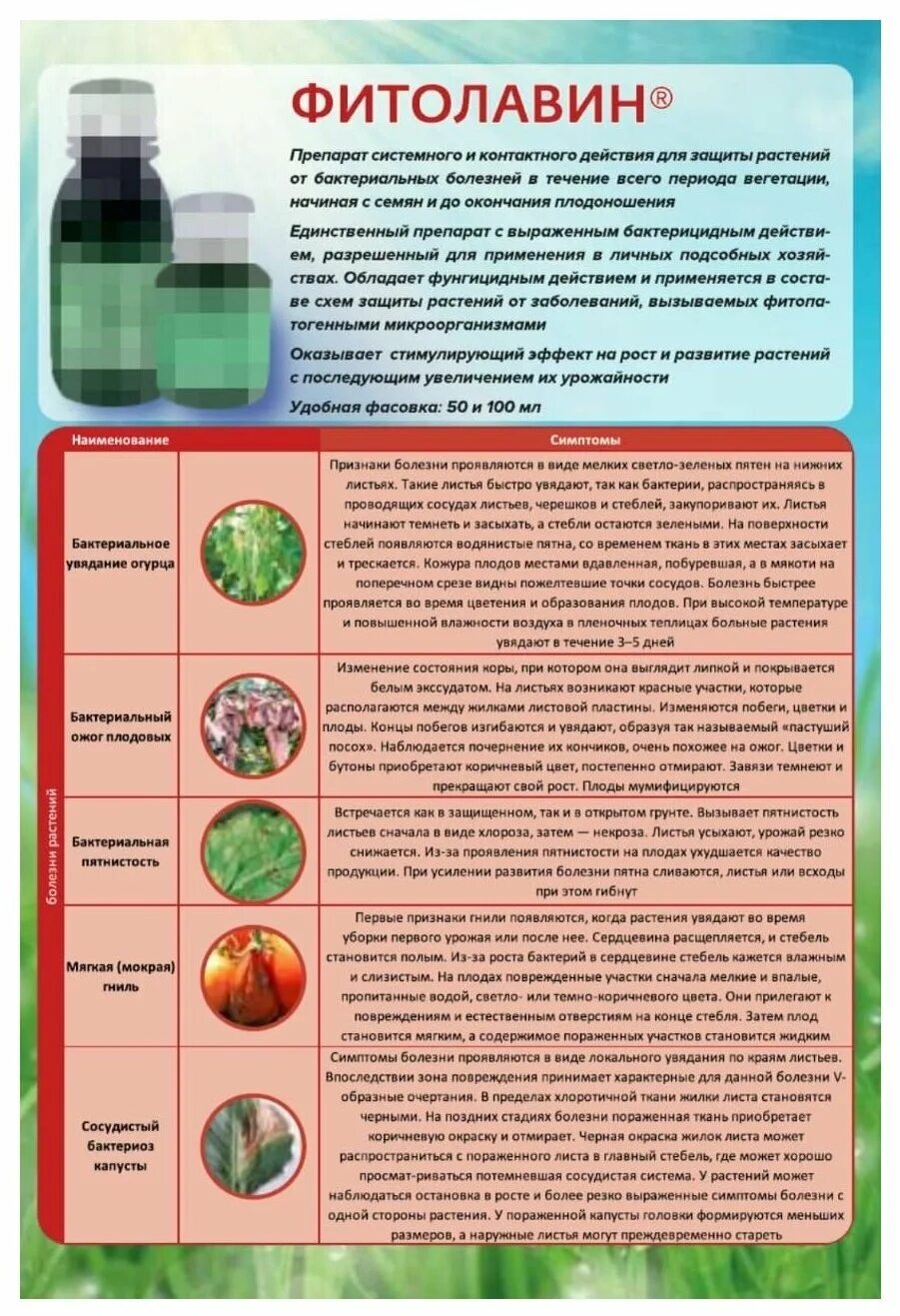 Фитолавин инструкция по применению. Фитолавин 100 мл. Фунгицид Фитолавин фармбиомед. PHARMBIOMED фунгицид Фитолавин ВРК. Фитолавин от бактериальных и грибных болезней.