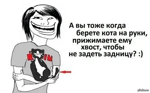 Берешь кошачью текст