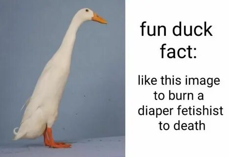 Like facts