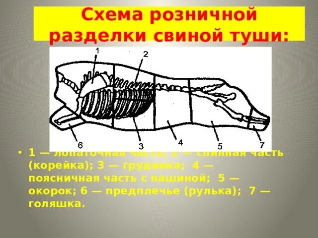 5 свиных туш. Разруб туши свиньи. Схема розничной разделки свиной туши. Схема разделки свиной туши. Разделка свинины.