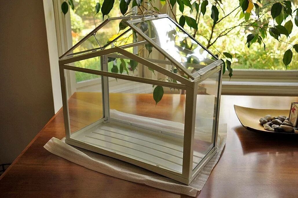 Парник для рассады на подоконник своими руками. Минипарник на подоконник. Тепличка икеа. Мини парник на подоконник. Умная домашняя мини теплица greenhouse.