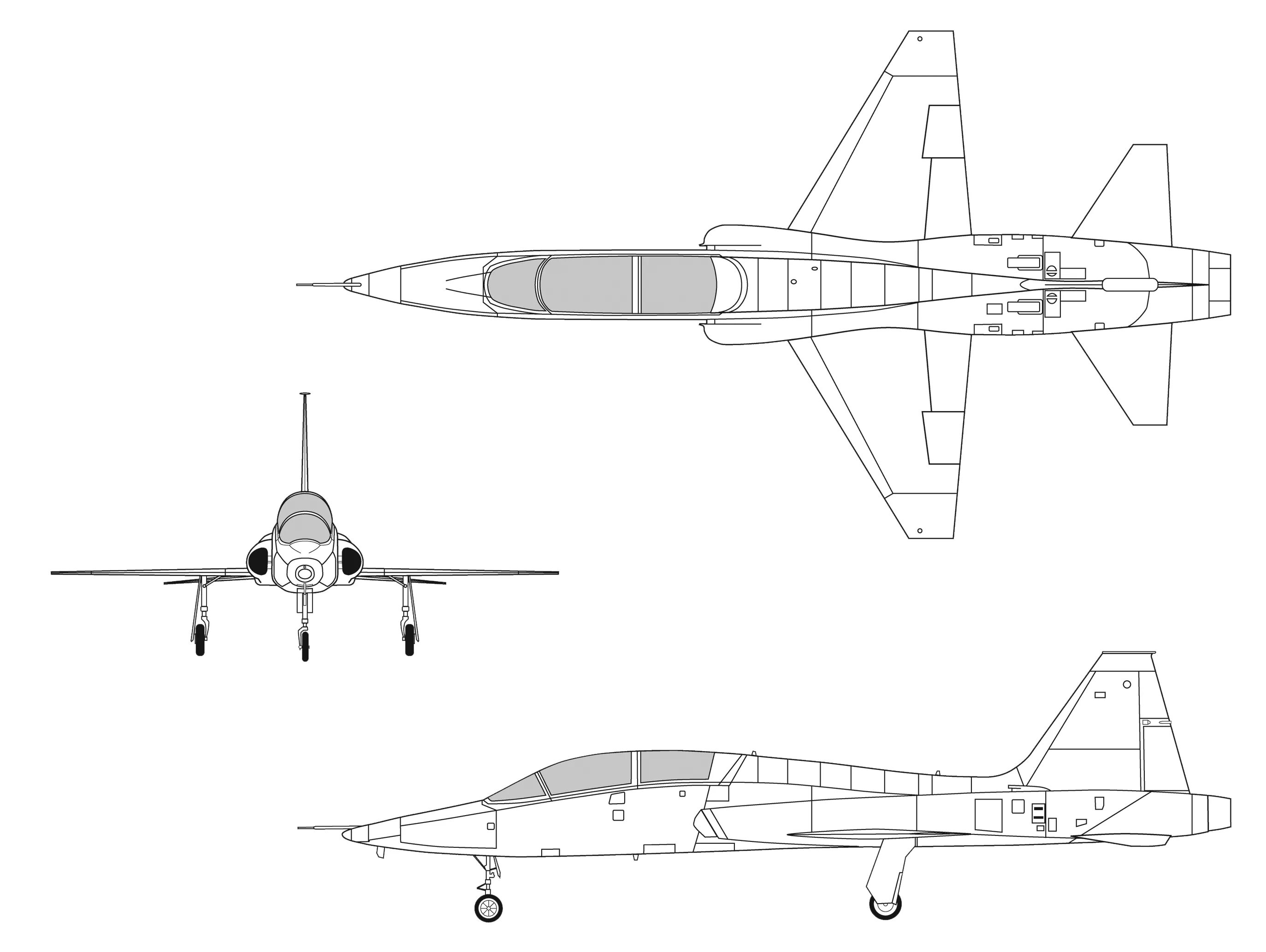 T 3 view