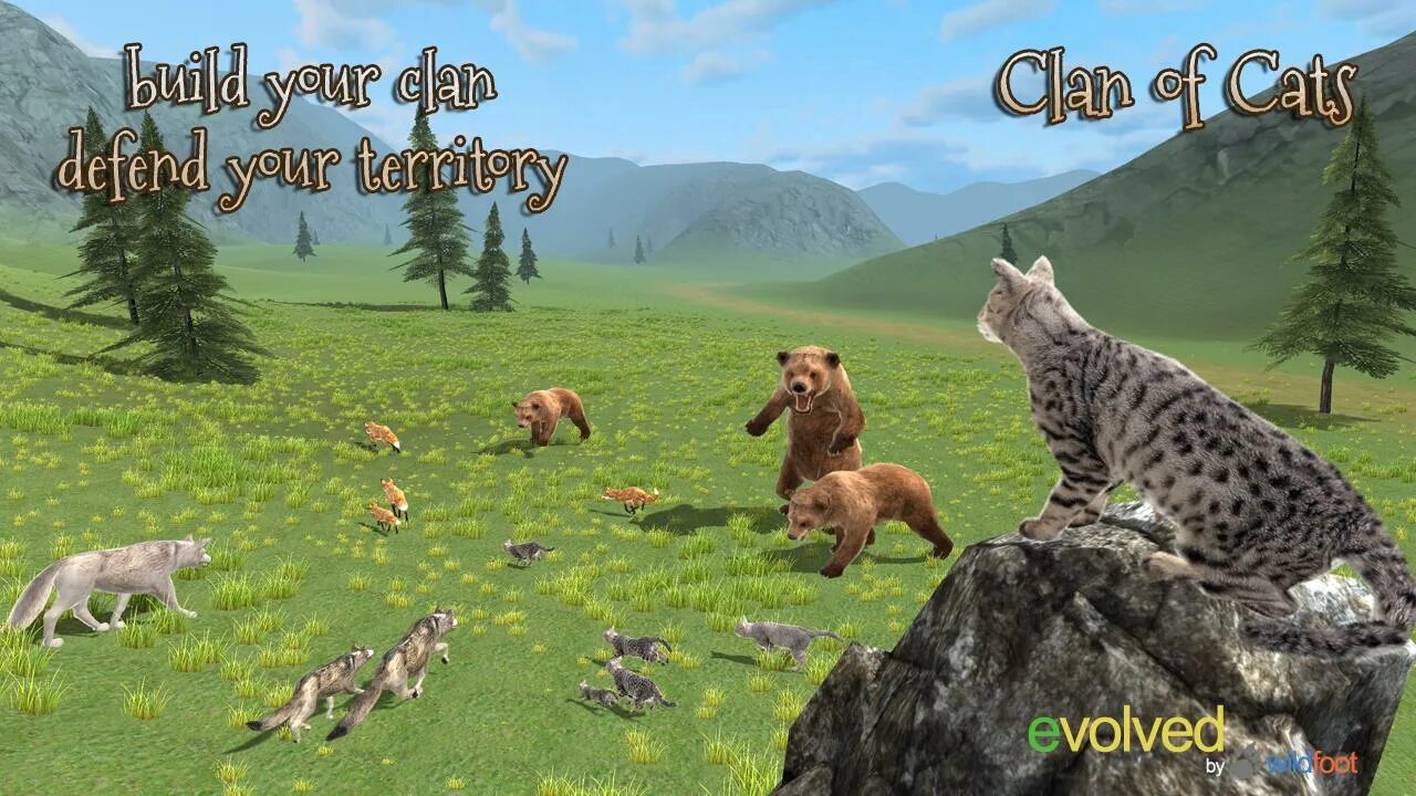 Игра клан котов. Wild Cats игра. Warrior Cats игра. Игра Warriors Cats: Clans divided. Warrior cats игры