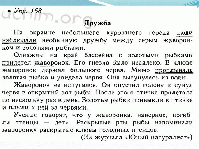 Что такое дружба как стать друзьями изложение. Ю-ю изложение 5 класс. текст для изложения 5 класс. что такое изложение по русскому языку. изложение на тему дружба между жаворонком и золотыми рыбками.