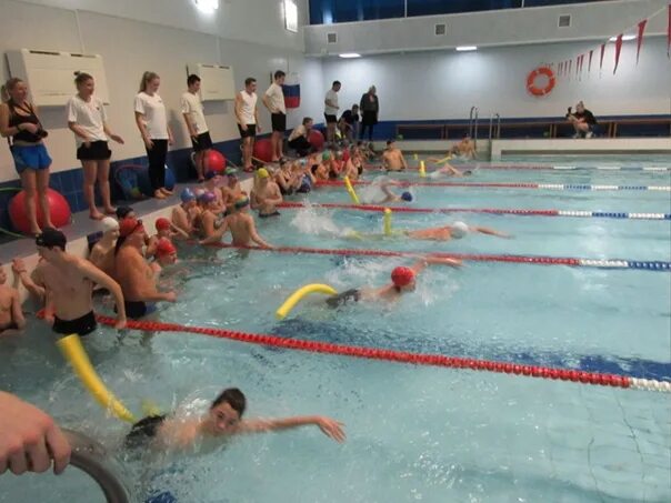 Плавательный бассейн сафу. Бассейн волна воронеж новосибирская. Зал сухого плавания сафу. Бассейн сафу архангельск. Бассейн ленком северодвинск.