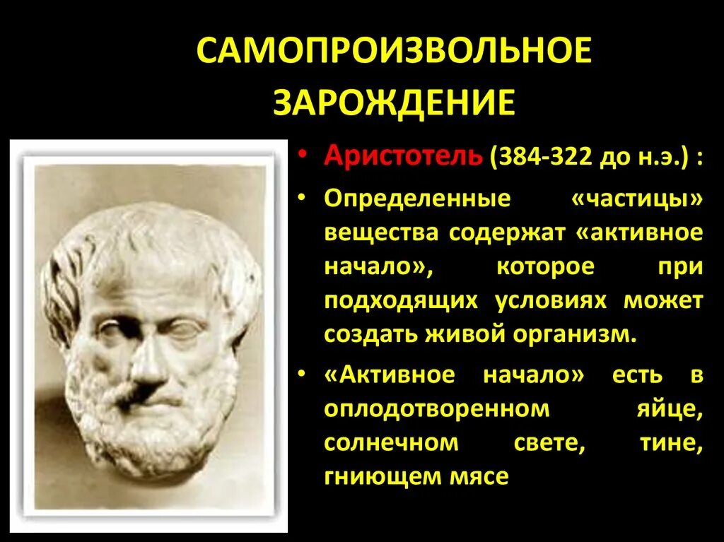 Суть теории самозарождения жизни. Самозарождение гипотеза Аристотеля. Гипотеза самопроизвольного зарождения жизни Аристотель. Теория самозарождения жизни. Гипотеза самозарождения жизни на земле.