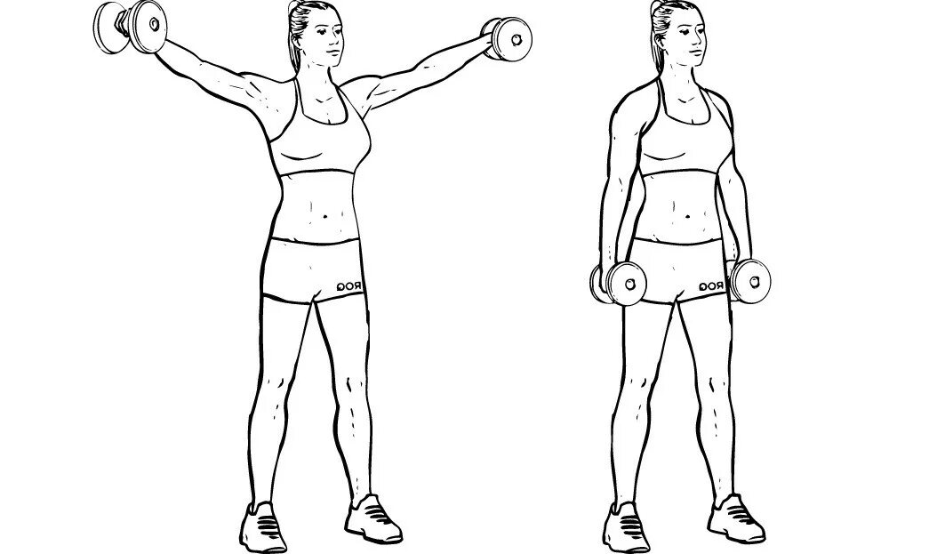 Разводка гантелей на плечи. Подъемы(махи) гантелей через стороны. Упражнение разводка гантелей стоя. Разводка стоя с гантелями техника выполнения. Махи (разведения) гантелями стоя.