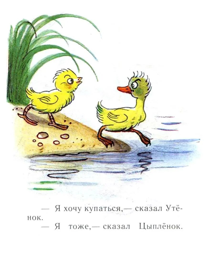 Про утенка и цыпленка