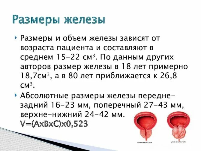 Что значит дгпж. Объем простаты норма. Объем предстательной железы в норме. Объём предстательной железы в норме при УЗИ. Размер простаты у мужчин по возрасту таблица норма.