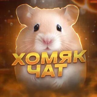 Бот для хомяка