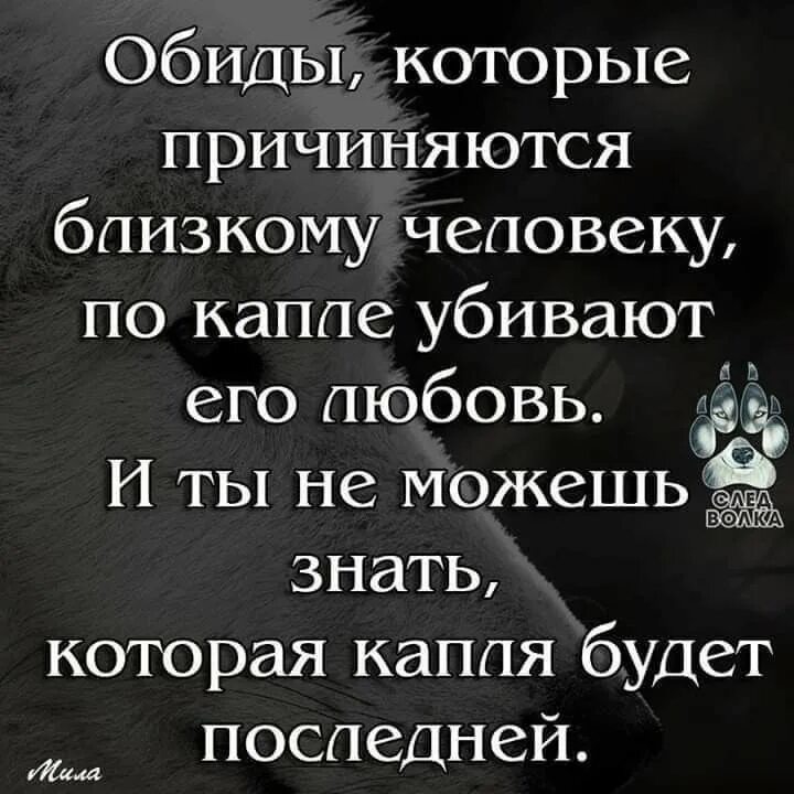 Говорила ты сильная и без него. Статусы про обиду. Если тебя обидели цитаты. Фразы про обиду. Обида на боизого селовек.