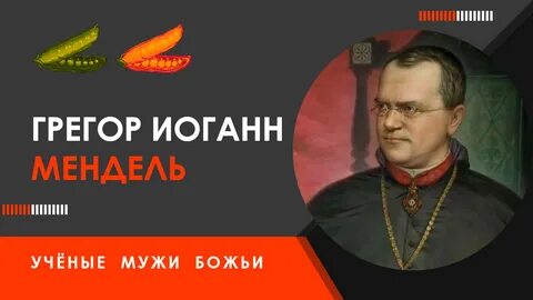 Ученые мужи