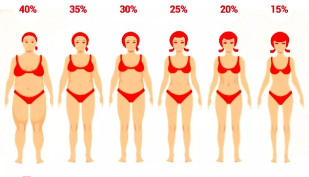 Какой процент жира у женщины