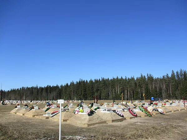 кладбище белоостров. новое белоостровское кладбище. кладбища невского района санкт петербурга. кладбище белоостров спб. песочинское кладбище санкт-петербург.