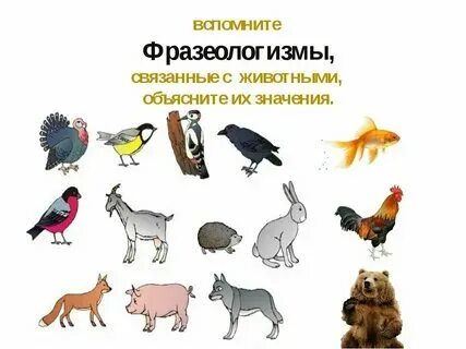 Переносное наименование животных и растений