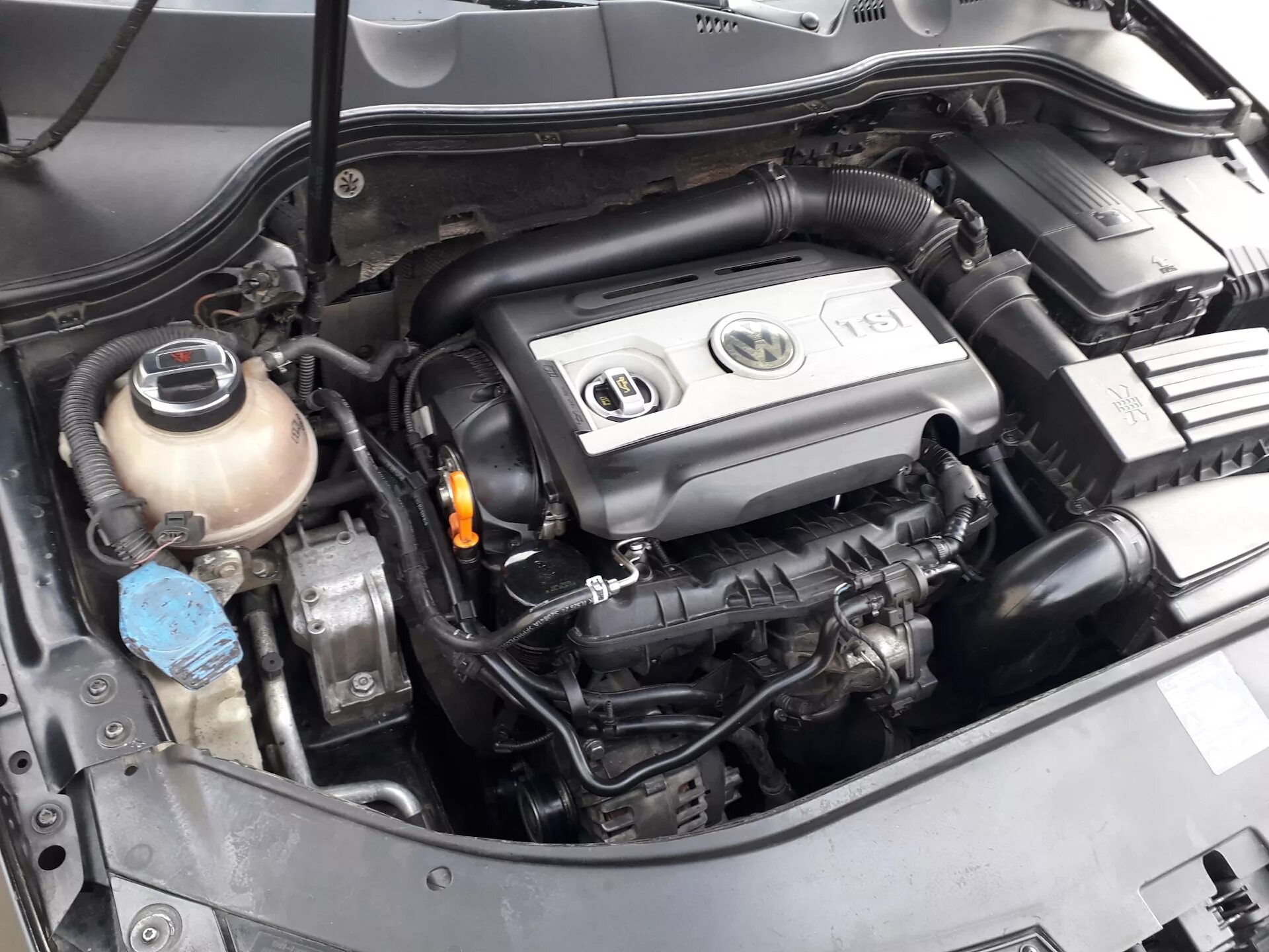 Масло пассат б6 1.8 tsi. Vw passat b6 1.8 tsi. passat b6 1.8 tsi мотор. vw passat 1.8 tsi мотор. пассат б6 tsi.