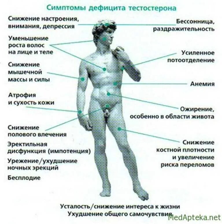 Как проявляется тестостерон. Симптомы дефицита тестостерона. тестостерон в мужском организме. недостаток тестостерона у мужчин. симптомы андрогенного дефицита.