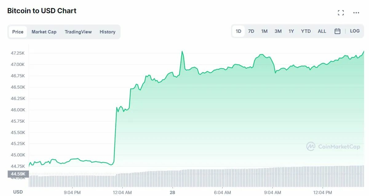 Сколько стоит цена в долларах. Биткоин в 2000 году. Динамика доллара. Биткоин растет. График роста биткоина.