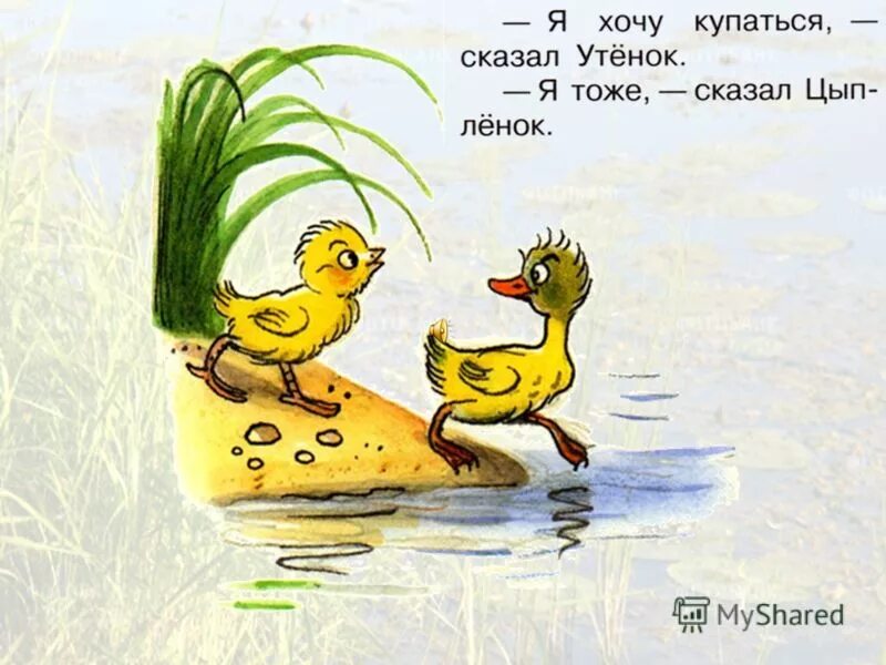 милый утенок. уточка пришла. утя утя утя. добрая утка. уточка арт.