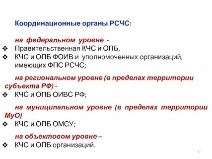 Координационным органом управления оз организации рсчс является