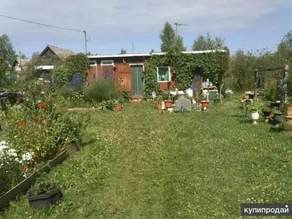 Снт ладога ленинградская область
