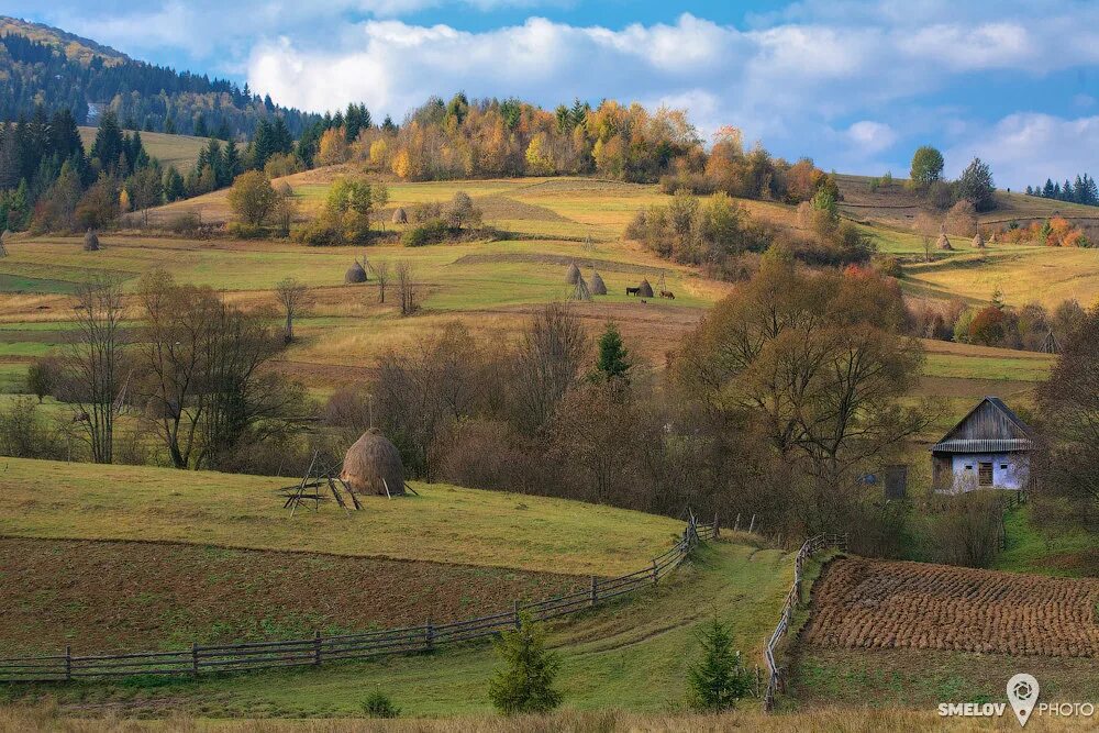 Западная украина деревни. Карпаты горы украина деревня. Западная украина деревни. Хутора. Село западная украина угнові.