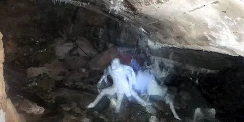 Солянка пропавшая группа ученых