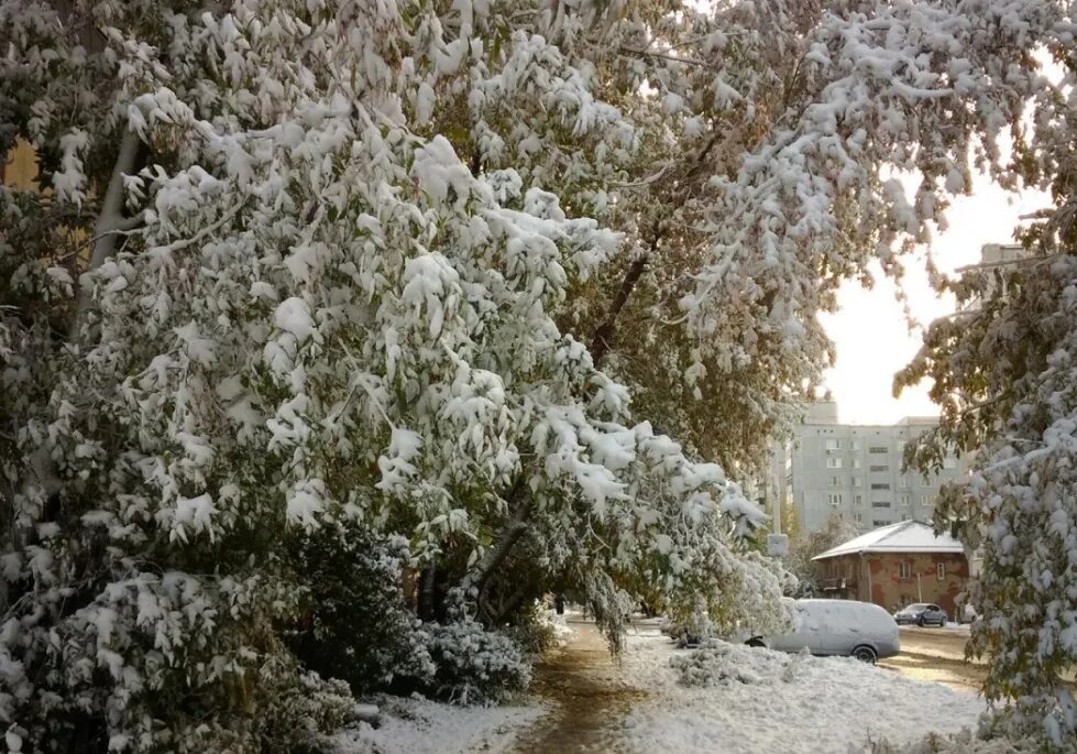 Омск в ноябре. Зима в Омской области. Фото первого снега в Омске. Омск в ноябре фото. В омске выпадет снег