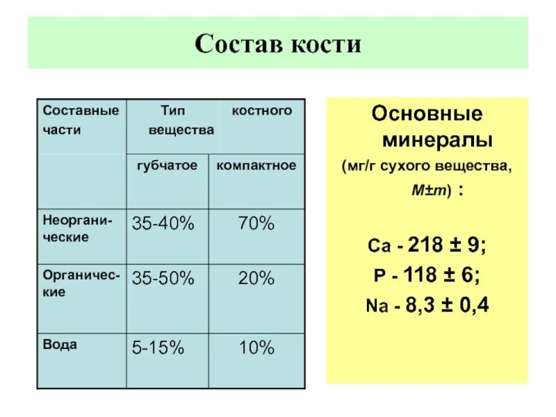 Какие вещества составляют кости. Состав кости. Химический состав кости. Состав костного вещества. 70 Сухого вещества кости составляют.