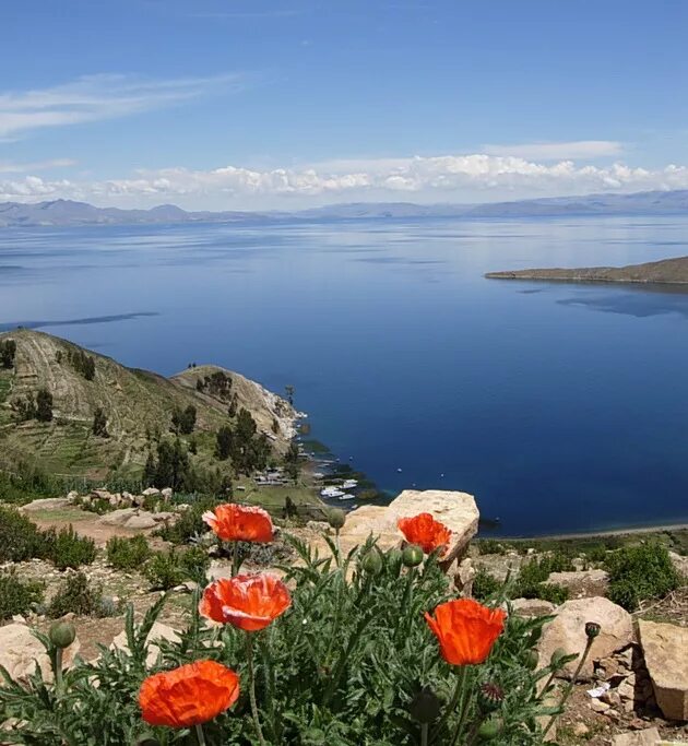 Озеро титикака в южной америке. Озеро Титикака Перу. Высокогорное озеро Титикака. Боливия озеро Титикака. Южная Америка озеро Титикака.