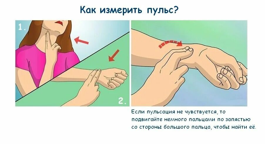 Как правильно измерять артериальное давление. Измерить рост. Как правильно измерять давление. Замер стеклопакета в пластиковом окне. Измерение талии.