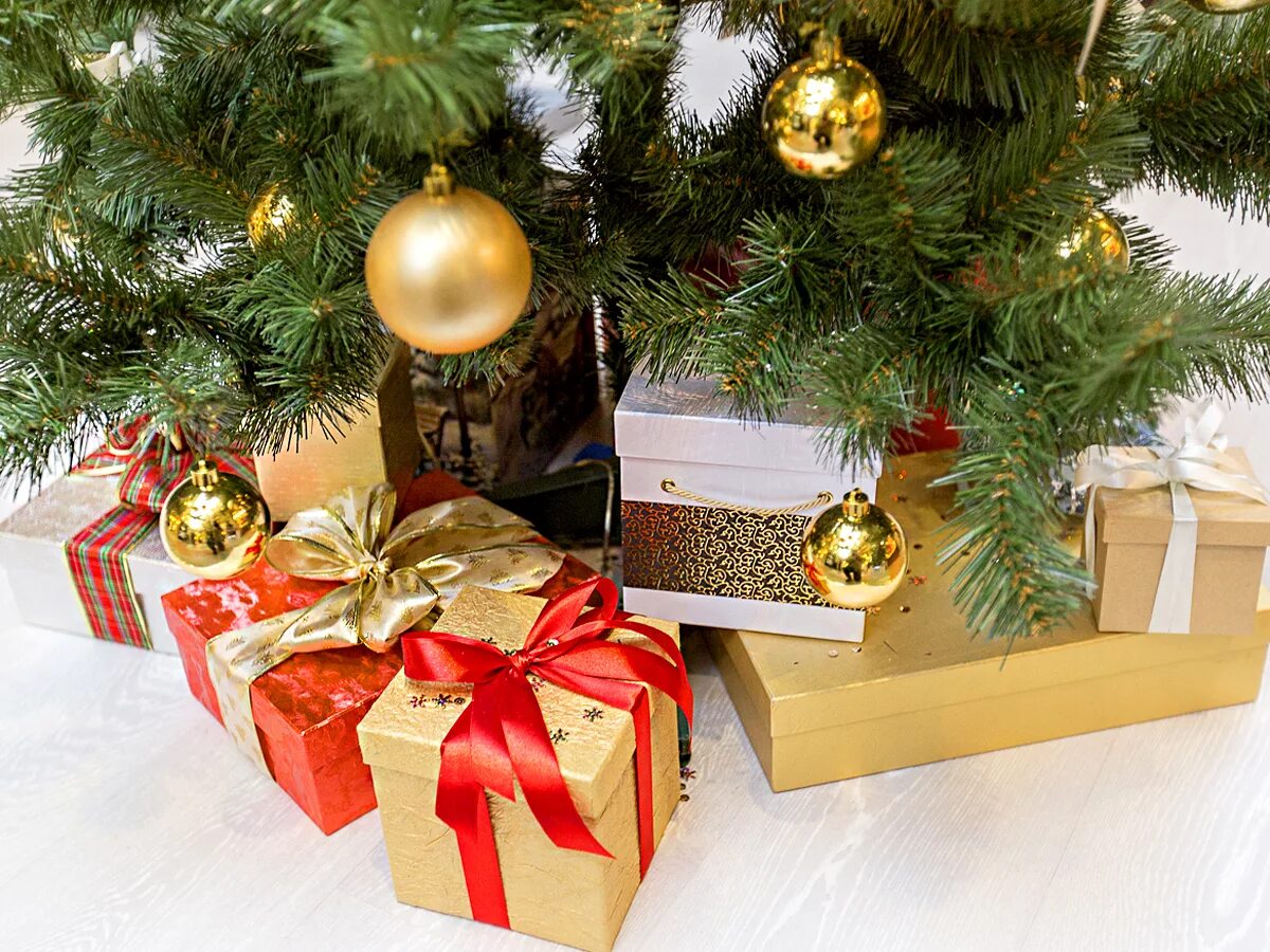 Примет на новый год 2019. Подарки под ёлкой. Новогодняя елка с подарками. Подарок на новый год с елкой. Подарочки под елочкой.
