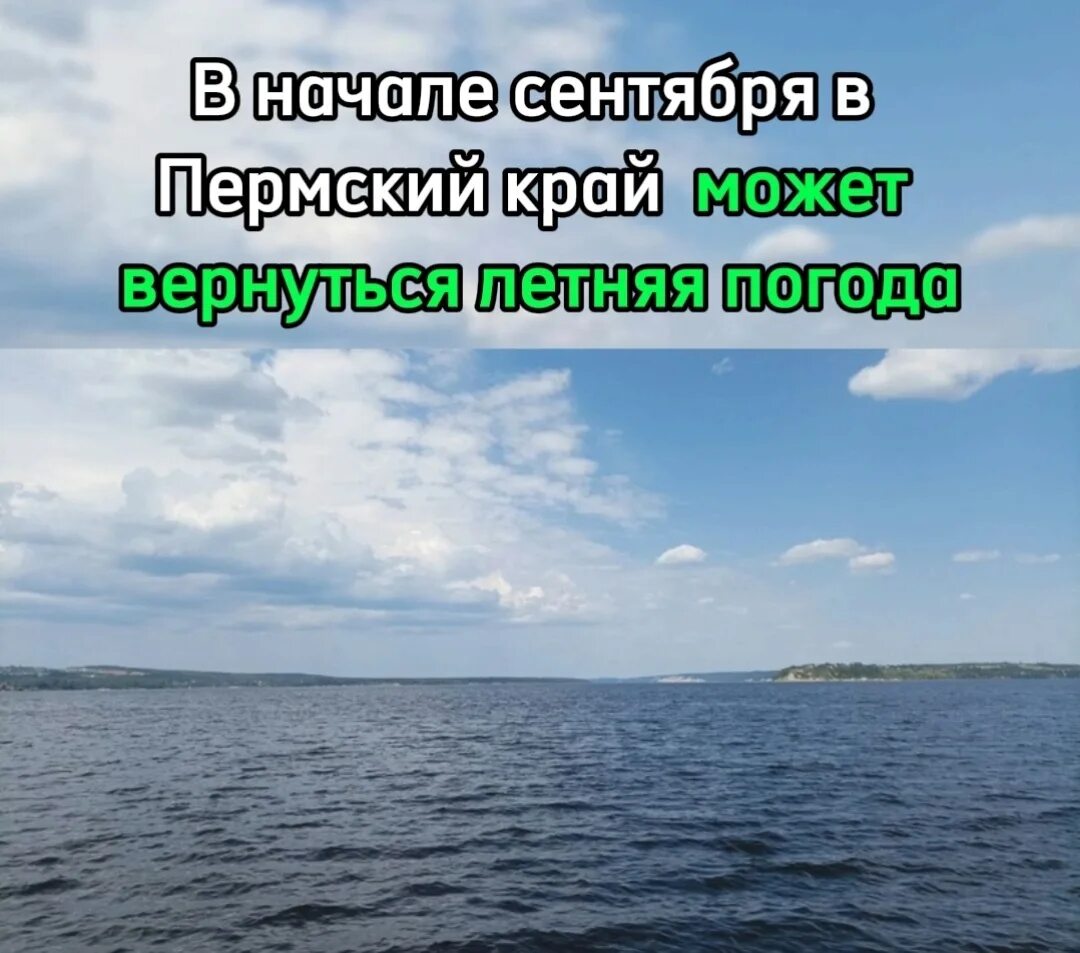Даль прогноз