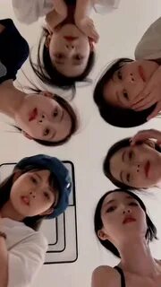 wangzaibibibi's tweet image. 