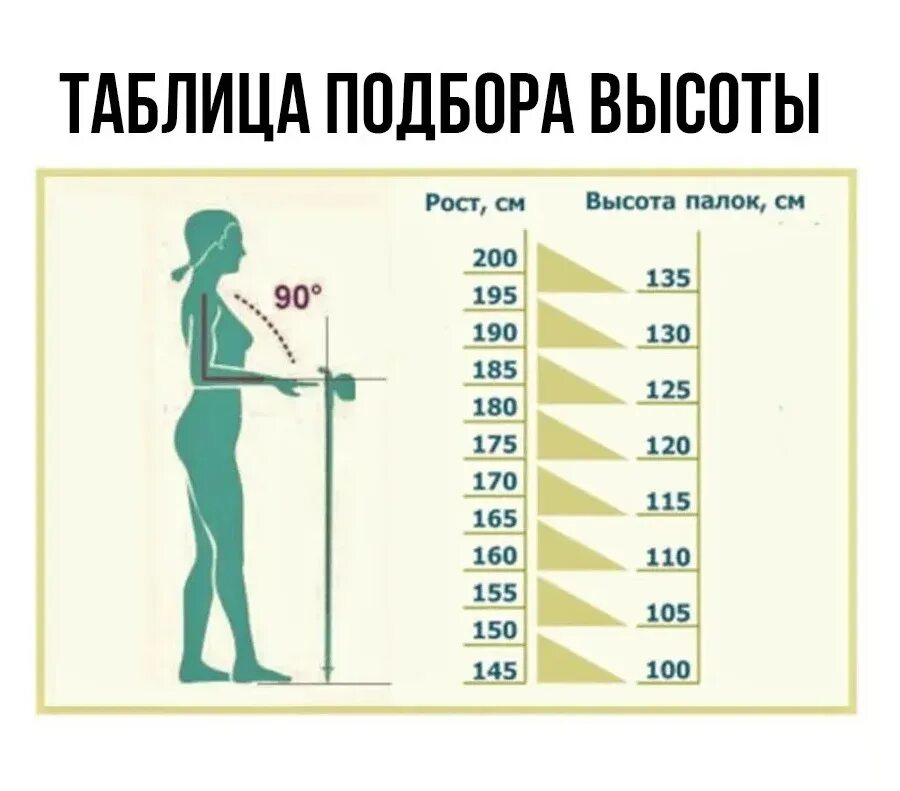 Таблица длины скандинавских палок по росту 
