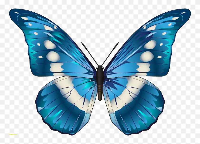 Бабочка рисунок. Бабочка сидит. Бабочки на просроченном фоне. Бабочки на просроченном фоне. Бабочки клипарт.