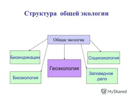 Общая экология